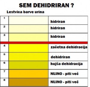 12-urin-barva-hidracija